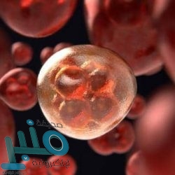 لوكاكو يفوز بجائزة أفضل لاعب في الدوري الإيطالي