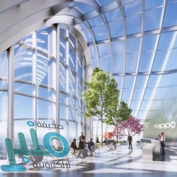 يورو 2020.. هولندا تتخطى النمسا وتتأهل إلى دور الـ16