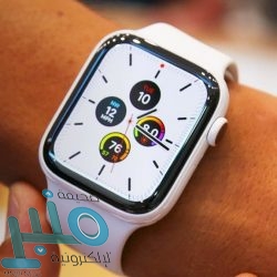 توتنهام يبدأ مفاوضاته مع غاتوزو لتولي تدريب الفريق