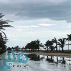 “الإذاعة والتلفزيون” تحقق نجاحاً كبيراً خلال الدورة البرامجية خلال شهر رمضان