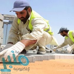 “آل الشيخ” يشيد باعتماد اليونسكو للمملكة ضمن أفضل 4 نماذج في “التعليم الإلكتروني”