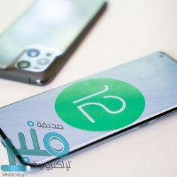 تقرير: ريتا جوهال تهاجم رياض محرز وتحذر خطيبته‎