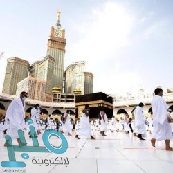 “الحياة الفطرية”: إطلاق الكائنات الفطرية دون موافقة يعد مخالفة لنظام البيئة