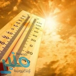 وزير الخارجية يلتقي مدير عام الوكالة الدولية للطاقة الذرية
