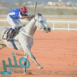 تعطل النظام يوقف التداولات في سوق الأسهم السعودي