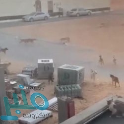 وزيرة التجارة المصرية تقيم حفل عشاء تكريمًا للدكتور ماجد القصبي