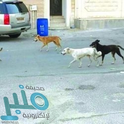 الفيصل يكرم الفائزين بجائزة مكة للتميز وبالمبادرات الرقمية