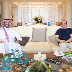 الفرق بين التحول والتخصيص المتعلقين بآلية نقل الموظفين السعوديين إلى القطاعات المستهدفة