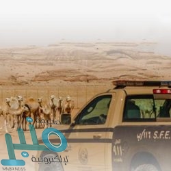 “السعودية للكهرباء”: قراءة الفاتورة تسهل تحديد كمية الاستهلاك واكتشاف الأخطاء