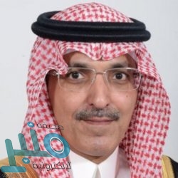 النيران الصديقة تمنح فرنسا فوزًا ثمينًا على ألمانيا