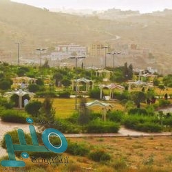 وزير الخارجية يلتقي نظيره الأردني