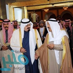 شركة التعاونية للتأمين توفر وظائف تقنية وإدارية بالرياض وجدة