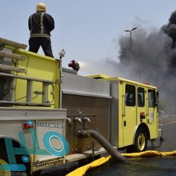 “جمعية حماية الأسرة” تحتفل باليوم العالمي لمكافحة عمالة الأطفال بإنتاج فيلم وإقامة ندوة حوارية