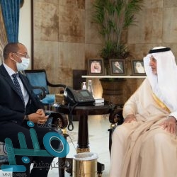 بمشاركة 55 جوادًا .. انطلاق المحفل الثالث لسباقات الخيل بميدان فروسية العقيق بالباحة غدًا