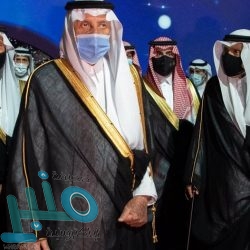 “البيئة”: ليس لنا اختصاص في مكافحة الحيوانات الضالة .. والكلاب حائط صد أمام الحيوانات المفترسة