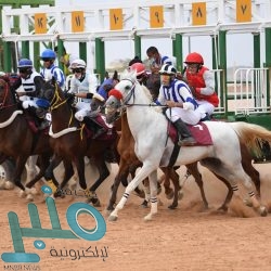 “أداء”: المملكة الأولى عالميًا في مؤشر “ثقة المستهلك بتوجهات الاقتصاد المحلي”