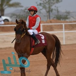 شرطة الرياض: القبض على شخص قام بانتحال صفة رجال الأمن واستيقاف العمالة وسلب ما بحوزتهم