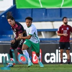 القبض على شخص هاجم عائلة وأطلق النار على الجهات الأمنية بالباحة