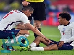 “تويتر” يستأنف مجددًا تلقي طلبات التحقق “العلامة الزرقاء”‎