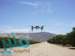 تقرير: الفيفا يعاقب باريس سان جيرمان بسبب صفقة إيكاردي