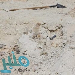 وزير الخارجية يلتقي نظيره الإيطالي ويعقدان جلسة مباحثات رسمية