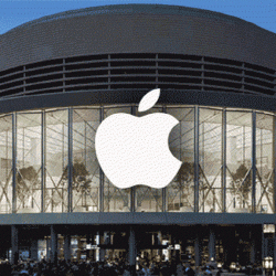 بسبب تأييد مقاطعة بطولة كوبا أمريكا.. رئيس البرازيل يضغط لإقالة تيتي من تدريب المنتخب