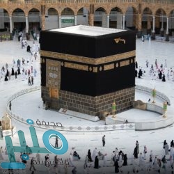 أمانة الطائف تجهز 280 متنفّسًا عامًّا