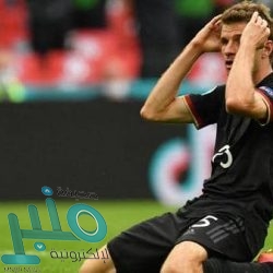 أخيراً.. تيليغرام تطلق محادثات الفيديو الجماعية