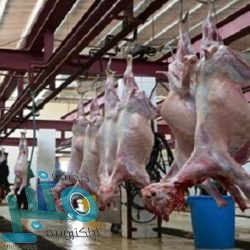 “الصحة”: تسجيل 1247 إصابة جديدة بفيروس “كورونا”.. و 1429 حالة تعافي