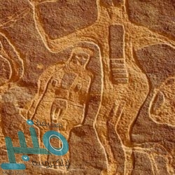 أمانة المدينة المنورة تشرف على ذبح 30234 أضحية خلال أيام عيد الأضحى