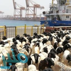 مركز الملك سلمان للإغاثة يجري 255 عملية جراحية في نيجيريا