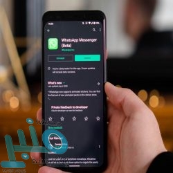 القبض على لاعب في الدوري الإنجليزي للاشتباه في ارتكابه جرائم جنسية مع أطفال