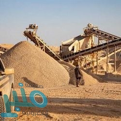 ضبط 925 منتجًا منتهي الصلاحية في المدينة المنورة خلال جولات رقابية للتجارة