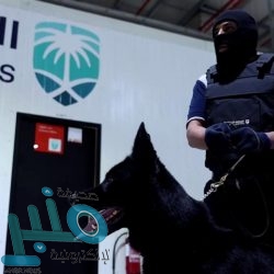 “البيئة” تعلن حاجتها لشغل 44 ‏وظيفة شاغرة