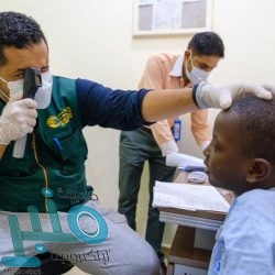 ” البيئة ” تفسح أكثر من 68 ألف رأس من الماشية خلال شهر ذي القعدة