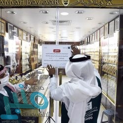 القوات الخاصة للأمن البيئي تضبط مخالفين لنظام البيئة يقومون بنقل الرمال وتجريف التربة