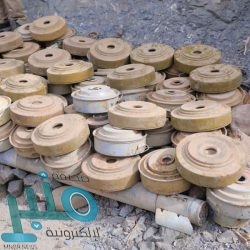 الجامعة العربية تدعو إلى استعادة الاستقرار في تونس