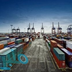 مؤسسة الحبوب تبدأ بصرف مستحقات الدفعة الرابعة لمزارعي القمح المحلي