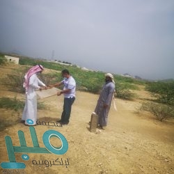 الحكومة اليمنية تشدد على ضرورة استكمال تنفيذ اتفاق الرياض