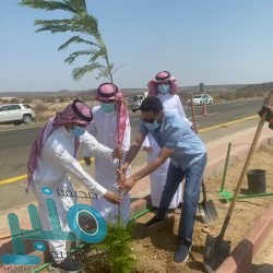 “الأراضي البيضاء”: 15 يومًا على انتهاء مهلة تسجيل أراضي “الطائف” و”جازان”