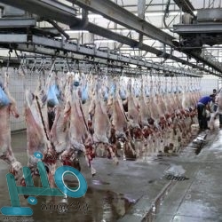 حجاج بيت الله الحرام يرمون الجمرات في أول أيام التشريق