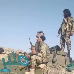 مايكروسوفت تعلن قريبا عن ميزة تهمّ ملايين مستخدمي الحواسب