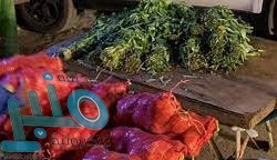 «الشؤون الإسلامية» تعيد افتتاح 5 مساجد بعد تعقيمها في 4 مناطق