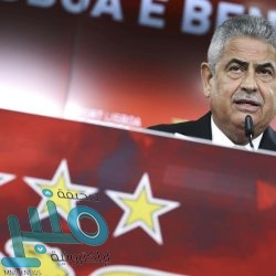 بعد فشلها في جذب الاهتمام.. تويتر تغلق Fleets في أغسطس‎‎