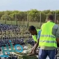 عاجل… الدفاعات الجوية تدمر طائرة مسيرة أطلقتها ميليشيا الحوثي تجاه المنطقة الجنوبية