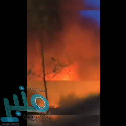 وزير الشؤون الإسلامية: لمست أثناء صلاتي في مسجد الغازي خسروبيك كل الحب من الشعب البوسني للمملكة