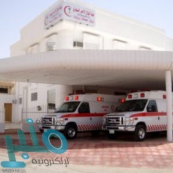 “طيران أديل” يضيف الباحة وبيشة لشبكة رحلاته