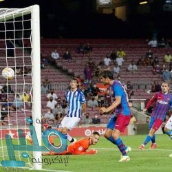 هل يسرق Galaxy Z Flip 3 الأضواء من شقيقه الأكبر؟‎‎