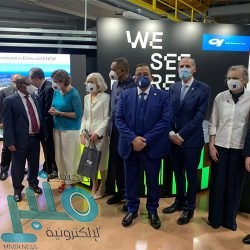 القوات الخاصة للأمن البيئي تضبط مخالفين لنظام البيئة لبيعهم حطبًا محليًا لأغراض تجارية