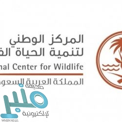 الجبير يجرى اتصالًا هاتفيًا بوزير خارجية الهند